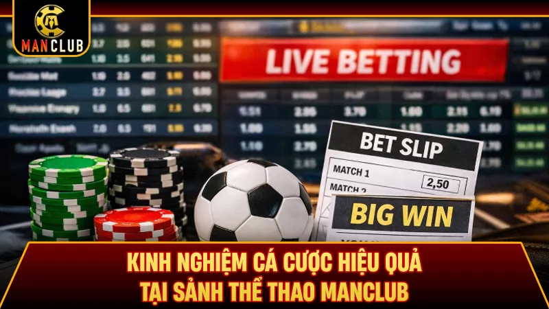 Kinh nghiệm cá cược hiệu quả tại sảnh thể thao Manclub